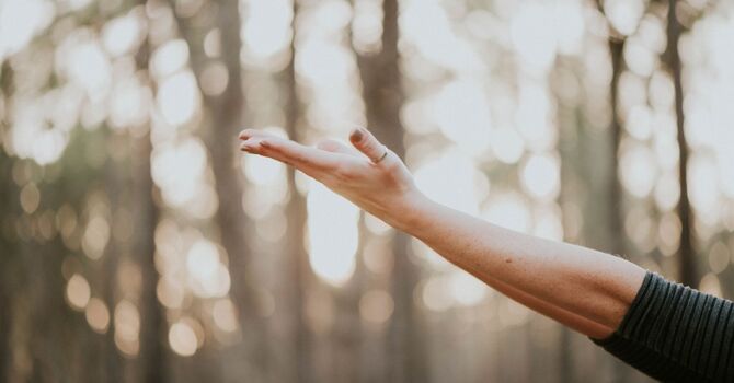 Nutrigenomic Wellness & Nutrition